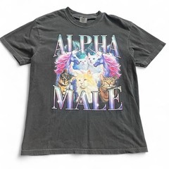 Alpha Male Dark Gray Short Sleeve T-Shirt Size Large Funny Comedy Cats Skate