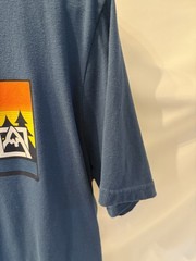 Lot of 2 Mens Large graphic t’s. Coral Salt Life and Navy blue Avalanche.