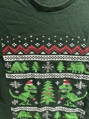 Christmas T-Shirt size small with dinosaurs, trees, and snowflakes. Short sleeve