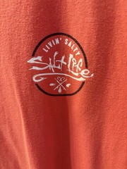 Lot of 2 Mens Large graphic t’s. Coral Salt Life and Navy blue Avalanche.