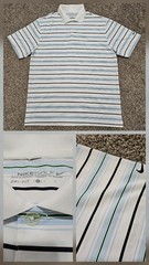 Nike Golf Dri-Fit Men’s Polo Shirt Size L, Standard Fit White Blue Green Striped
