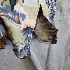 Natural Issue 3X Big Mens 100% Rayon Hawaiian Shirt Palms Island Blue Peach