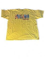 Vintage Beach Boys Tshirt Men’s Size 2XL Yellow Short Sleeve 2003 Tour