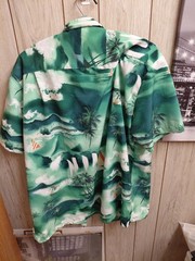 Vtg 70’s Kennington Loop Collar Beach Hawaiian Aloha Polyster Men’s Shirt L