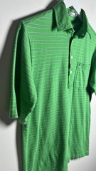 Criquet Classic Thin Striped Players Polo Shirt In Kelly Green Organic Cotton S