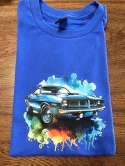 Men Adult Royal Blue T-shirt Sports care size Large