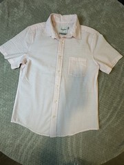 Goodfellow & Co Men’s Seersucker Striped Pink/White Short Sleeve Button-Up S