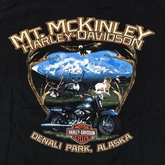 Harley-Davidson Shirt Mens XL Black Alaska Mt McKinley Denali Park Graphic Y2K