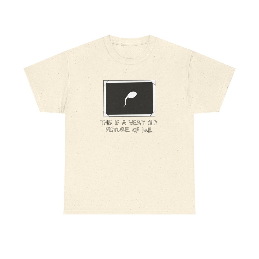 Old Picture Frame tee | ‘This is a very old picture of me’ T-Shirt