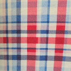 Leon Levin Men’s XL Red Blue White Plaid Polo Shirt Short Sleeve Collared Button
