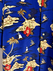 Ringo Hawaiian Shirt 2Xl Palm Tree Islands Red Flowers Microfiber