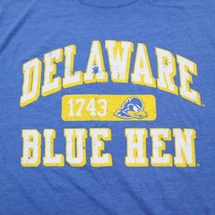 Delaware Blue Hens T-Shirt Large Blue 84 Retro College Team Crewneck NWT NEW
