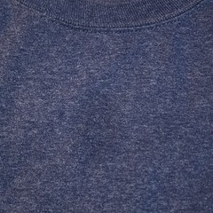 Carhartt Original Fit Mens 2XL Tall Blue Spellout Sleeve Tshirt Long Sleeve Spot