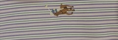 Polo Ralph Lauren striped dress shirt