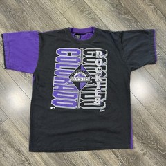 Vintage 1993 Colorado Rockies T-Shirt XL MLB Salem Sportswear Color block