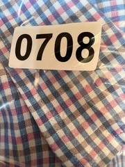 Peter Millar Shirt Mens Large Blue Pink Gingham Check Linen Silk Blend Button Up