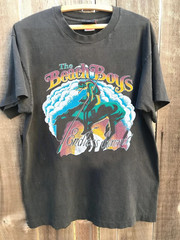 Remake 1970s BEACH BOYS Endless Summer Remake Charcoal T shirt Fan shirt PA11309