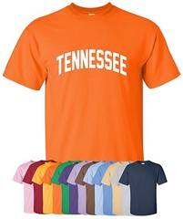 New “Tennessee” T-Shirt in S-4XL, 30+ Colors! volunteer state nashville memphis