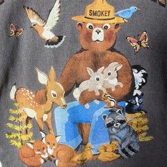 Smokey Bear Official Licensed Graphic T Shirt Men’s Medium Gray 100% Cotton