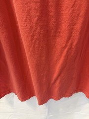 Lot of 2 Mens Large graphic t’s. Coral Salt Life and Navy blue Avalanche.