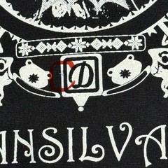 Transylvania Romania Vlad The Impaler Vladislavs Dracula Weywooden T-Shirt XS