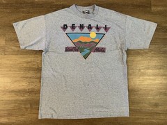 Vtg 90s Denali National Park T Shirt Large Gray Mt. McKinley Alaska Graphic A9