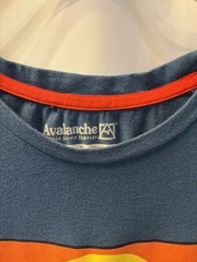 Lot of 2 Mens Large graphic t’s. Coral Salt Life and Navy blue Avalanche.