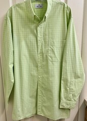 ALLEN SOLLY PLATINUM Light Green Gingham Poplin Cotton L/S Button Down Shirt (L)