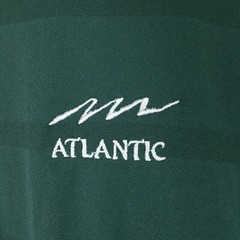 Nike Mens XL (48in Chest) Dark Green Stripe Atlantic Packaging Dri-Fit Golf Polo