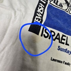 Stain Israel Festival 1993 Lawrence Jewish Center Oneita Adult T-Shirt Medium k7