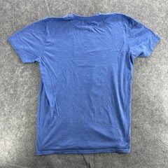 Video Game Rogue Shirt Mens Large Blue Punk Princess Parody Nintendo Tee Gamer