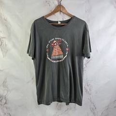 The Pink Snowflakes T Shirt Mens Large Gray PDX Band Short Sleeve