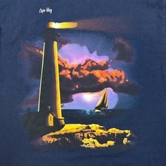 Vintage 90s Fruit Of The Loom T Shirt Mens L Blue Cape May NJ Sailboat Sunset