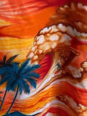 VTG Don Giovanni California VTG 1970s Surfing Shirt Large L Length 30