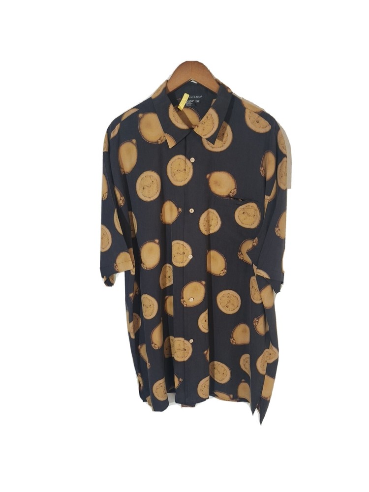 Tulliano Silk Shirt 2xt. Bin 35
