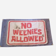 Spongebob SquarePants No Weenies Allowed Wall Flag