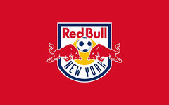New York Red Bull Soccer Futbol Mens Embroidered Polo Shirt XS-6XL, LT-4XLT New