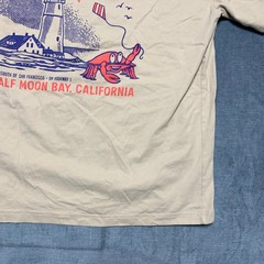 Hollister Heavyweight Boxy Fit Ocean View Cafe T Shirt Mens XL Beige Crew Neck