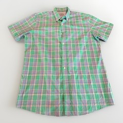 Saddlebred Born Southern Button Down Shirt L Blue Green Plaid WRINKLE FREE (A21)