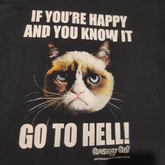 Grumpy Cat If Your Happy and You Know It Go to Hell Size Medium T-Shirt