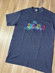 VINTAGE 80s Honolulu Hawaii USA Made Single Stitch Striped Embroidered T-shirt