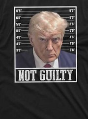 Trump real Mugshot T-shirt DJT Not guilty Georgia real Mug shot political Tee