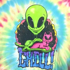 IML Isaac Morris Tye Dye Alien Cat Graphic Spiral Tie-Dye Tee 2XL Cotton 46″