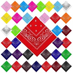 Paisley Bandanas 36 Pack Bulk Polyester Multi Purpose Party Costume Pet