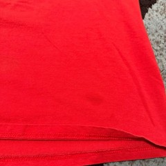 Gildan Ohio State Buckeyes 2009 Big Ten Champions Long Sleeve Shirt Mens XL Red