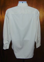 Robert Talbott White Striped Long Sleeve Button Front Shirt Mens Size 16/33