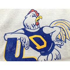 Vintage 80’s Velva Sheen Shirt University of Delaware Fighting Hens Mens M
