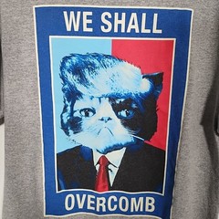 Grumpy Cat “We Shall Overcomb” Men’s/Unisex L Trump Gray Tshirt Funny Hair