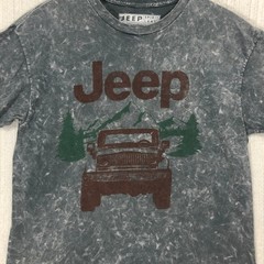 Jeep Spirit 1941 Mens Graphic T-Shirt Grey Mineral Wash Mountain Size M