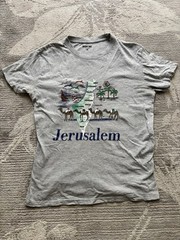 Jerusalem Israel T Shirt Grey Unisex Short Sleeve T-Shirt Camels Dolphins Boats